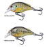 LIVE TARGET Bluegill Flat-Side Squarebill Floating crankbait 14g 70 mm