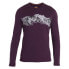 ICEBREAKER 200 Oasis Crewe Remarkables Merino Long sleeve base layer