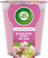 Duftkerze im Glas Raspberry Rose Splash 220g, 1 St