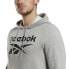 Толстовка с капюшоном мужская Reebok FT BIG LOGO OTH HZ8786 Серый