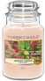 Duftkerze im Glas - Yankee Candle Tranquil Garden Candle 104 g