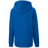 Puma teamGOAL 23 Casuals Hoody Jr 656711 02