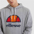 Толстовка с капюшоном мужская Ellesse Dahryl OH Светло-серый