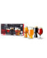 Craft Beer Tasting Kit Glasses, Set of 4