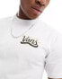 Vans home of the side stripe t-shirt with back print in white