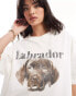 ASOS DESIGN boyfriend fit heavyweight t-shirt with labrador dog graphic in cream