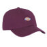 DICKIES Hardwick Cap