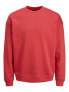 JACK & JONES Brink 12186363 sweatshirt