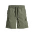 JACK & JONES Fiji Swimming Shorts