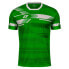 Zina La Liga M match shirt 72C3-99545 green-white