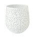 Vase White Carved