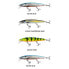 SALMO Whacky Limited Edition minnow 150 mm