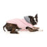 FUZZYARD Cremorne Dog Sweatshirt Hoodie