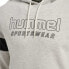 HUMMEL Legacy Bryce hoodie