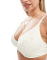 Peek and Beau Fuller Bust underwire bikini top in cream jacquard with gold shell charms