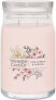 Duftkerze im Glas Rosa Kirsche und Vanille mit 2 Dochten - Yankee Candle Pink Cherry & Vanilla 368 g