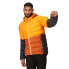 REGATTA Harrock II down jacket