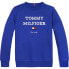 TOMMY HILFIGER KB0KB08713 sweatshirt