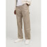 JACK & JONES Eddie Carpenter pants