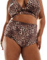 ASOS DESIGN Curve Mindy high waist bikini bottom in leopard