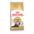 Корм для котов Royal Canin Persian Adult Для взрослых Растительный птицы 10 kg