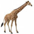 COLLECTA Giraffe Figure