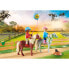 PLAYMOBIL Birthday Party On Ponis Farm