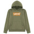 LEVI´S ® KIDS Batwing Screenprint hoodie