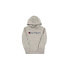 Champion Hooded Sweatshirt