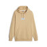 Puma Pl Statement Hoodie Mens Beige Casual Outerwear 62101403