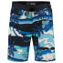 RIP CURL Mirage Postcards Swimming Shorts