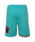 Big Boys Turquoise Vancouver Grizzlies Hardwood Classics Swingman Shorts