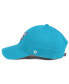 Charlotte Hornets Clean Up Cap