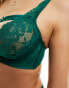 Hunkemoller Iggy strapping detail bra with lace high apex in green