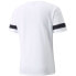 Футболка PUMA teamRISE Jersey M 704932 04