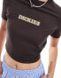 Dickies – Choteau – Enges T-Shirt in Dunkelbraun mit mittigem Logo