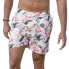 HAPPY BAY Let´s flamingle swimming shorts