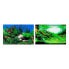 FERPLAST 60x40 cm Aquarium Background