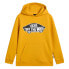 VANS Style 76 hoodie