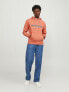 Худи Jack & Jones JORLAKEWOOD Relaxed Fit