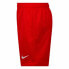 NIKE KIDS 8U6650 Sweat Shorts