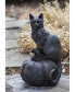 Cat on Pumpkin Garden Statue