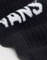 Vans classic crew 3 pack socks in black