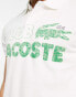 Lacoste club polo shirt in white with front graphics