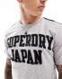 Superdry Vintage athletic stripe t-shirt in vintage sweat light grey marl