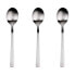 SAN IGNACIO Root Stainless Spoon