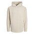 JACK & JONES Sefton hoodie