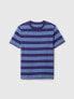 blue multi stripe