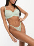 Ivory Rose all over lace tanga thong in sage green