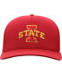 Men's Cardinal Iowa State Cyclones Reflex Logo Flex Hat